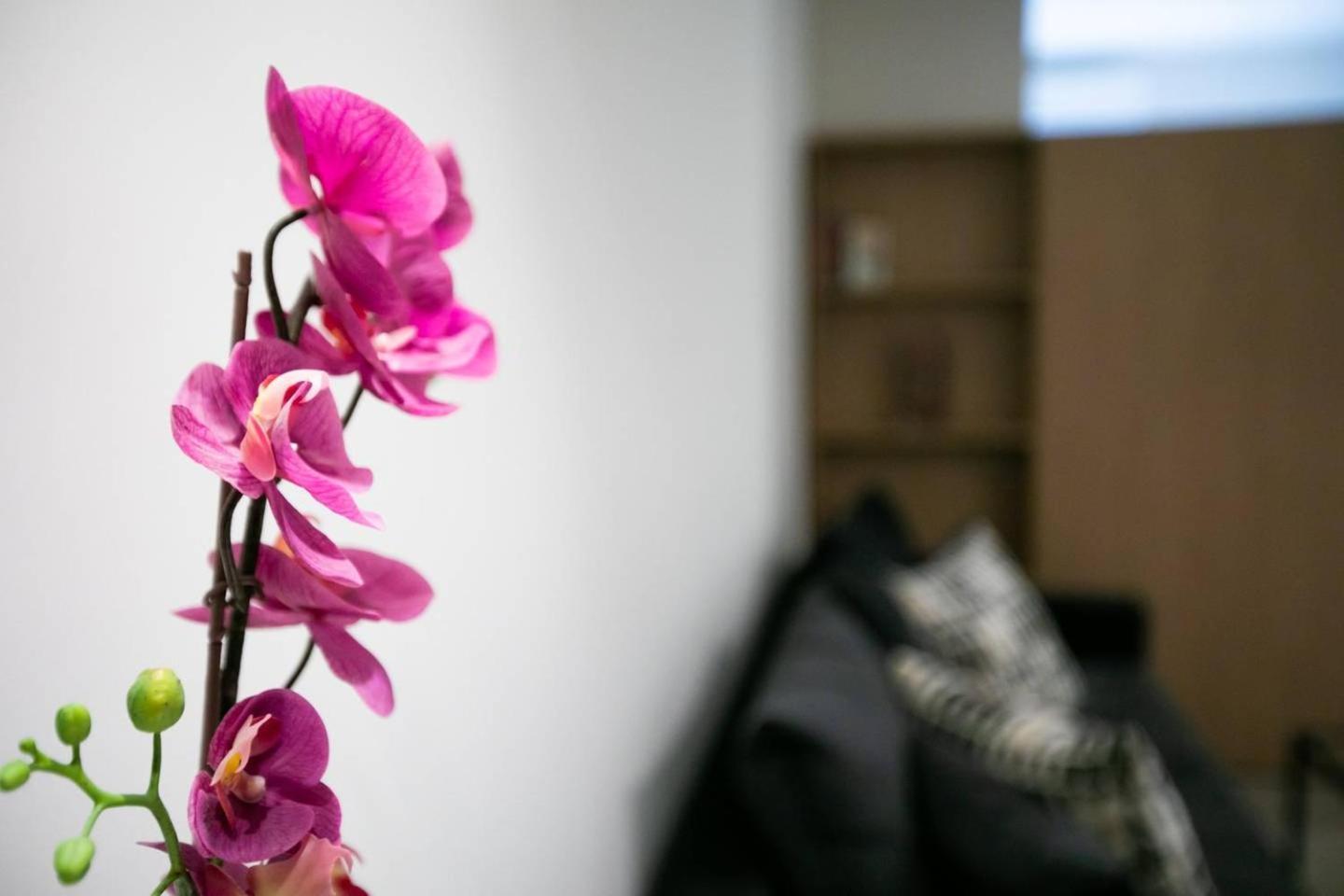 Toni'S Studio Syntagma, 1 Min From Metro Station Athens Ngoại thất bức ảnh